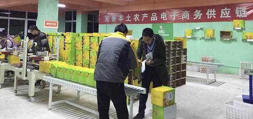 借力農(nóng)村電商&ldquo;東風&rdquo;助推金堂柑橘銷往全國