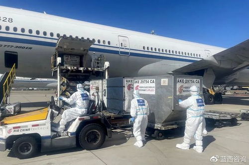 奧運(yùn)選手的大件行李如何運(yùn)輸？中國(guó)聯(lián)航相關(guān)規(guī)定與服務(wù)全解析