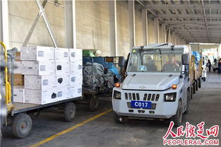 烏魯木齊局集團公司雙11電商黃金周運輸服務高效保障物流暢通